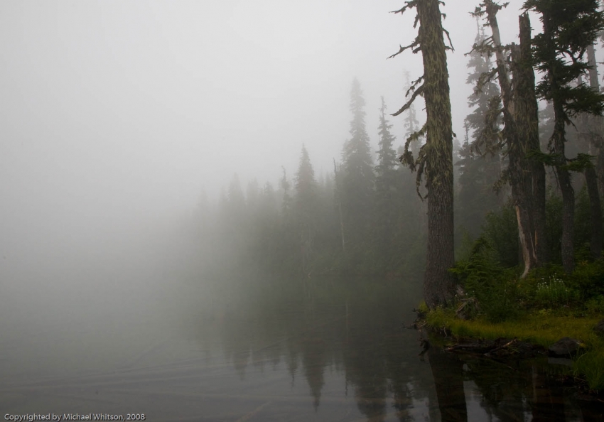 Copyright by Michael Whitson (Pix# 1236)
