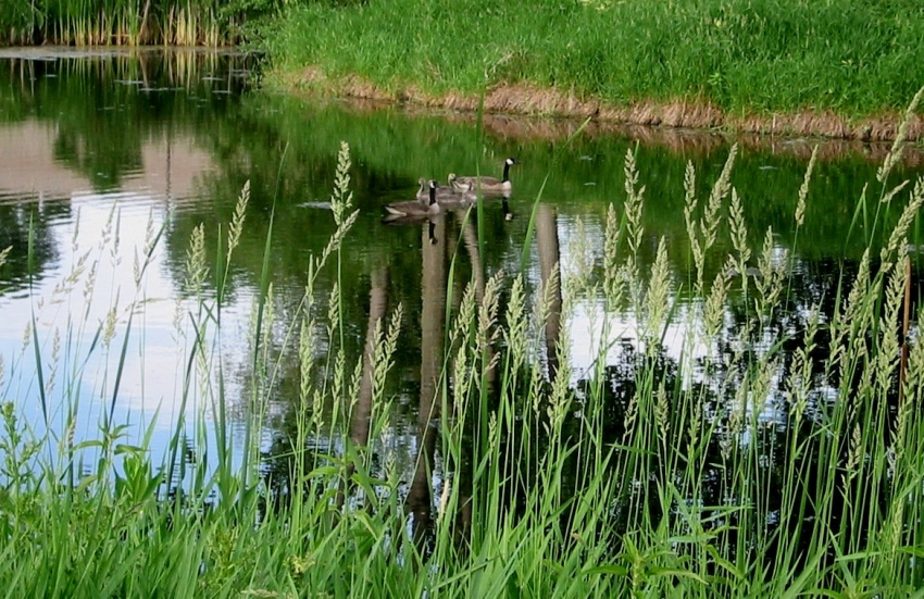 Copyright by Sue (Pix# 131)