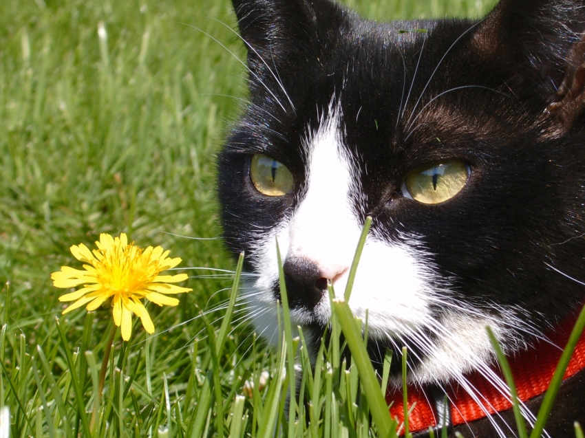 Copyright by Katie (Pix# 157)