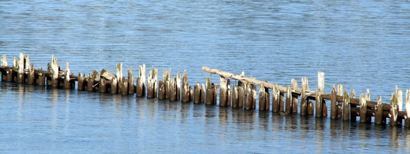 Copyright by Tina (Pix# 569)