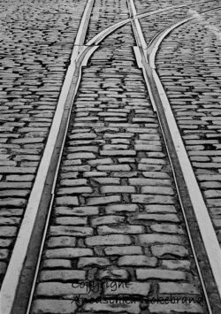 "Down the tracks" - Click for larger view