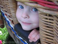 "Basket Girl" - Click for larger view