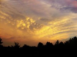 "Cotton Balls and Candy Floss" - Click for larger view