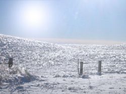 "The Sand HIlls Frozen in Time" - Click for larger view