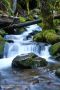 "Moving Water" by Michael Whitson