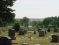 "Bohemian National Cemetery"