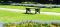 "Solitary Bench" by Lynda