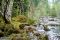 "Eagle Creek Trail at 4 1/2 Miles" by Michael Whitson