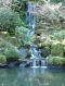 "Waterfall" by Betty Whitson