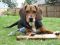"Ruger" by Kelly Linman