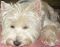 "Sleeping on the Floor" by Betty Whitson