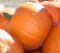 "Waiting to be Jack-o-laterns" by Tina