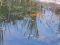 "Reflections" by Betty Whitson