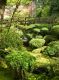 "Japanese Garden" by Kelly  Nellenbach