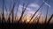 "Mostyn Sunrise" by Fitzie