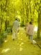 "The Secret Garden" by Theo