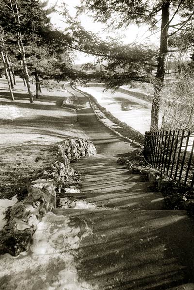 Winding Path